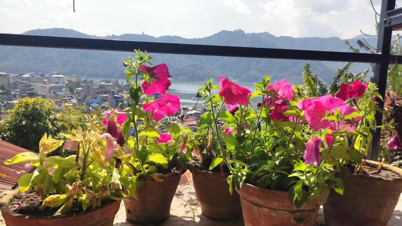 Peace Guesthouse Cottage Pokhara Zewnętrze zdjęcie