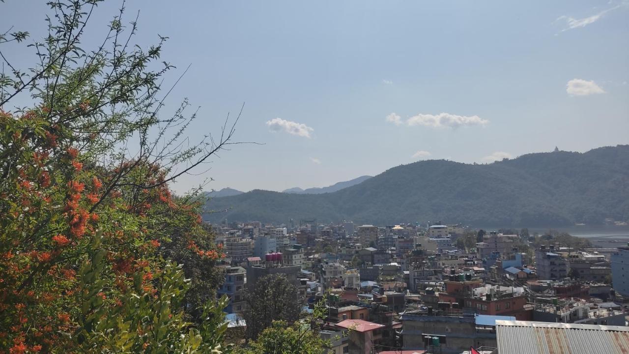 Peace Guesthouse Cottage Pokhara Zewnętrze zdjęcie