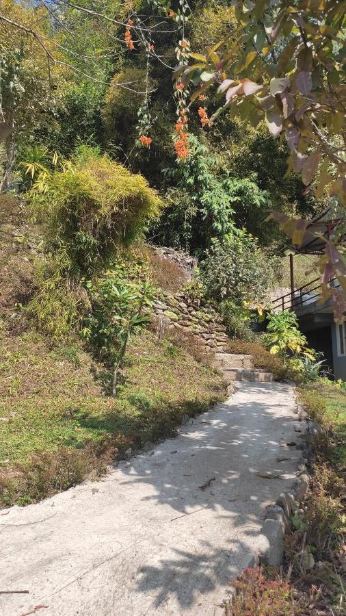 Peace Guesthouse Cottage Pokhara Zewnętrze zdjęcie