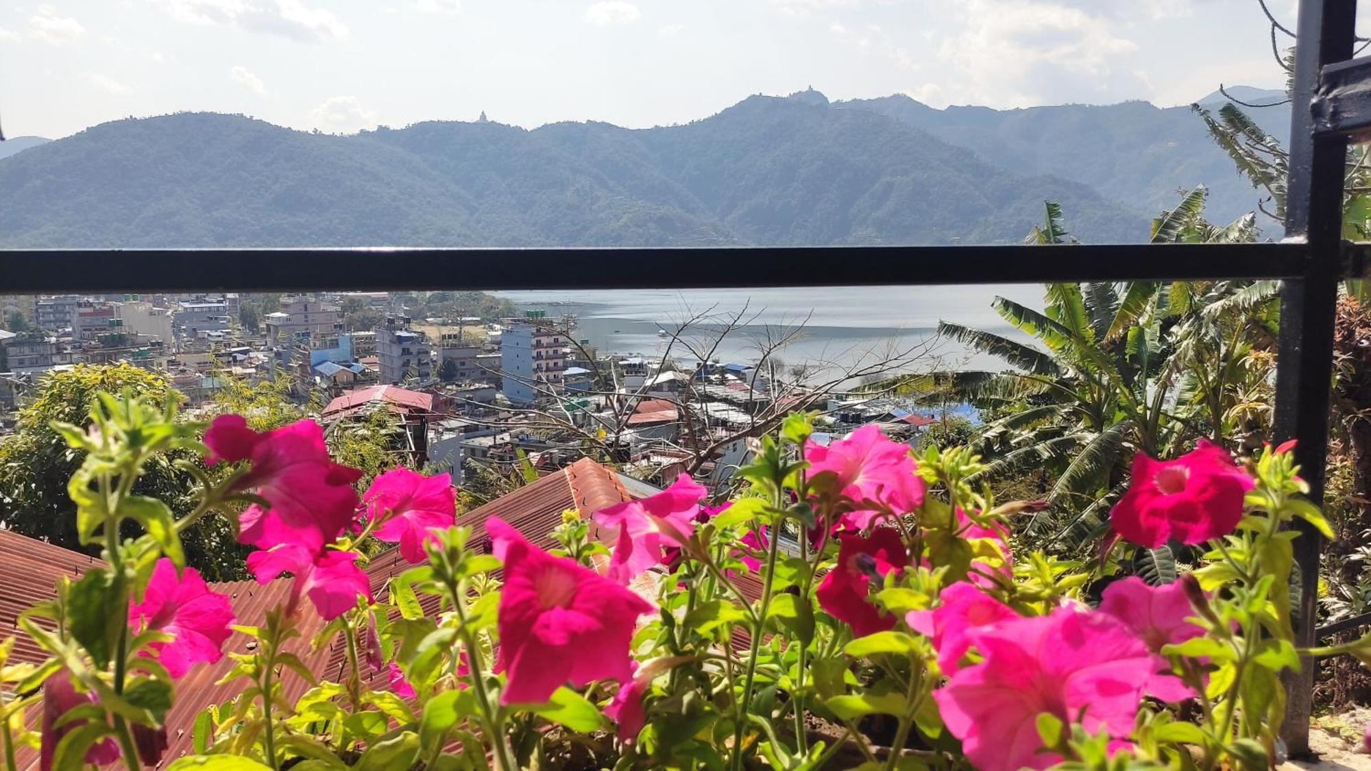 Peace Guesthouse Cottage Pokhara Zewnętrze zdjęcie