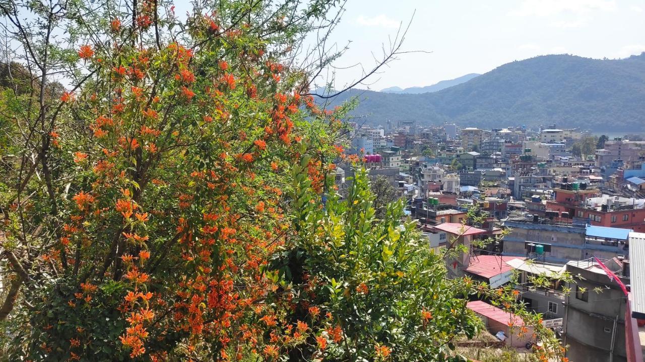 Peace Guesthouse Cottage Pokhara Zewnętrze zdjęcie