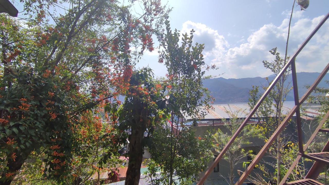 Peace Guesthouse Cottage Pokhara Zewnętrze zdjęcie