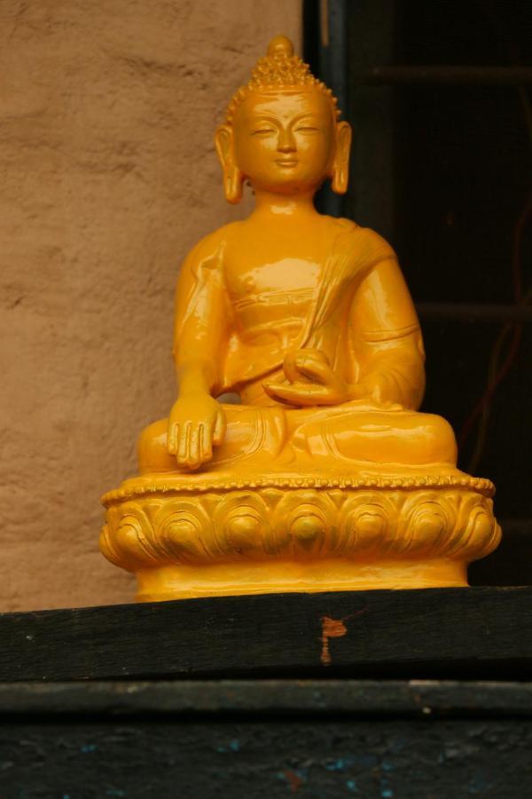 Peace Guesthouse Cottage Pokhara Zewnętrze zdjęcie